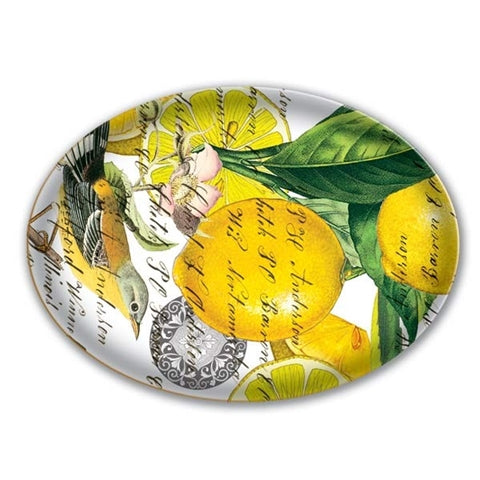 Michel Design Lemon Basil Soap Dish Olive Pit